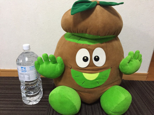 キウイぬいぐるみ