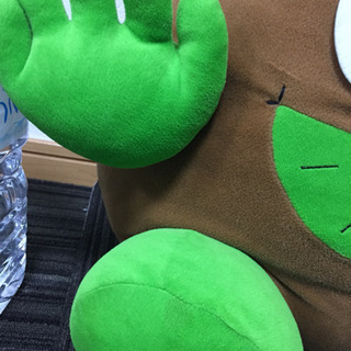 キウイぬいぐるみの画像