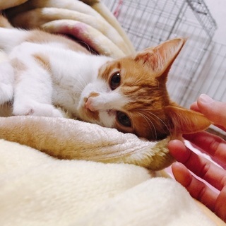 細〜い身体の風邪ひきさんから今はすりごろ甘えん坊に❣️