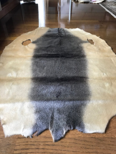 入手困難☆キャンプに！☆アザラシ（毛皮）☆革製品☆NO.2