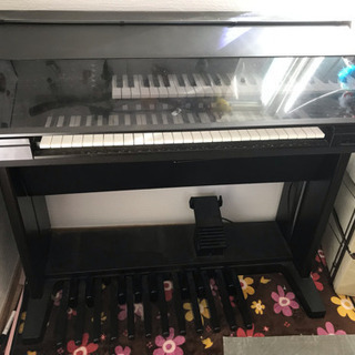 引き取り先決まりました