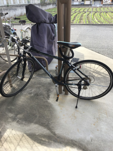Bianchi シエロ