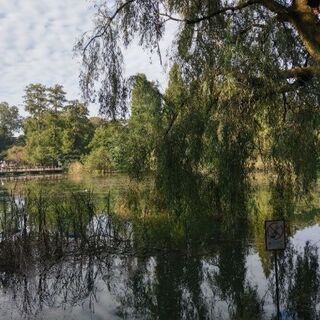 (3人目のメン募)井の頭公園周辺に住んでるなら一緒に走ろうよ - 武蔵野市
