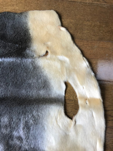 ?入手困難☆キャンプに！☆アザラシ（毛皮）☆革製品☆NO.1