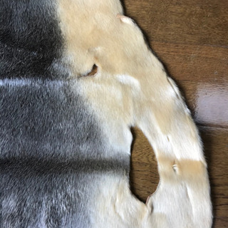 ?入手困難☆キャンプに！☆アザラシ（毛皮）☆革製品☆NO.1