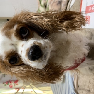 【バックホー運転手及雑作業】週２～３日程度　日給１００００円　交...