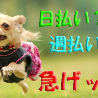 京田辺エリアで大募集！急ぎの出費も安心！日払い・週払いOK！即日対応・即日勤務の画像