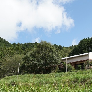 フリースクール山ねこ　スタッフ募集！の画像