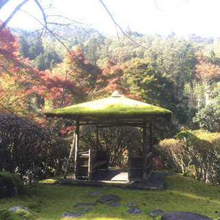 着物でお出かけ友達募集！