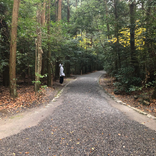 神社パワースポット