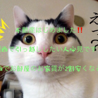 物件見積もり持って来てくれたら通常の2割安くなります‼️