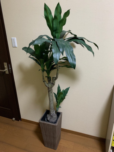 人工観葉植物