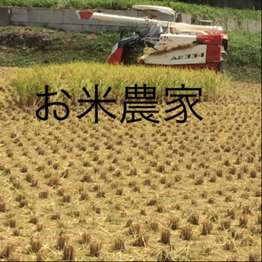 東温市南方　新米純こしひかり　30㎏ 玄米