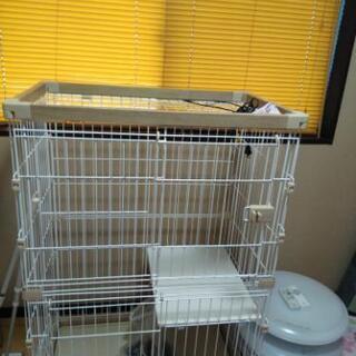 猫用ゲージ