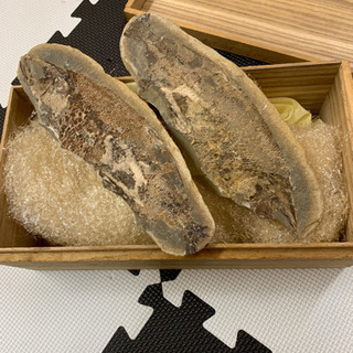 魚の化石