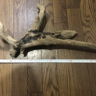 流木　アクアリウム等　塩抜き天日干し済み