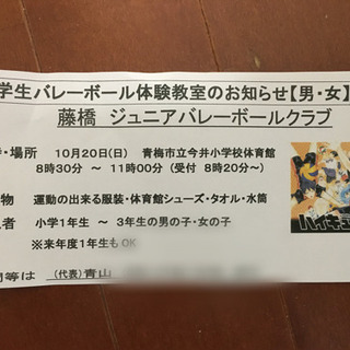 小学生バレーボール