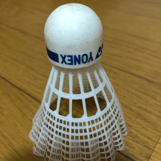 親子バドミントンで遊びませんか？又は場所共有のみ