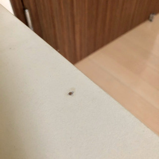 IKEA 白テーブル 10/19夕方以降取りに来れる方の画像