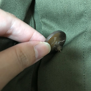 トレンチスカート の画像
