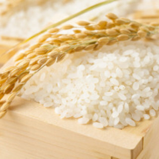 売り切れました！平成30年度産 玄米 30kg 古米