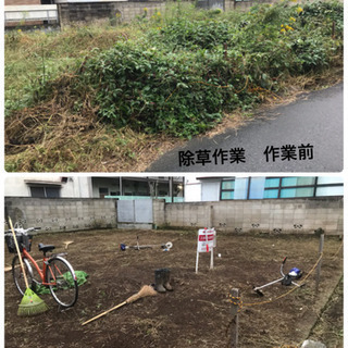 庭の手入れ 除草＊草刈＊芝刈り致します【所沢市 入間市飯能市さい...