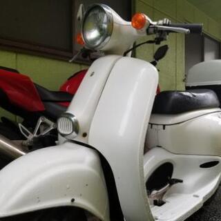 □値下げ 原付50cc ホンダ ジョルカブ