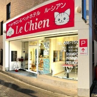人間関係がいいペットサロンで働きたい！トリマーさん募集！の画像