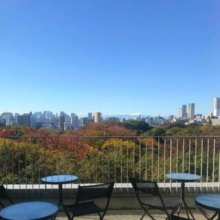 六義園紅葉ライトアップ期間限定 SkyGarden