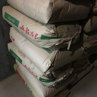 平成３０年度産　無農薬　あいちのかおり　玄米３０ｋｇ　在庫処分（...