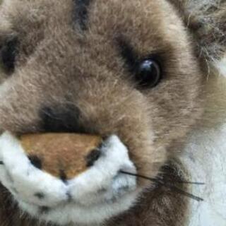 値下げ🦁◆ライオンの◆タオルハンガー◆🦁