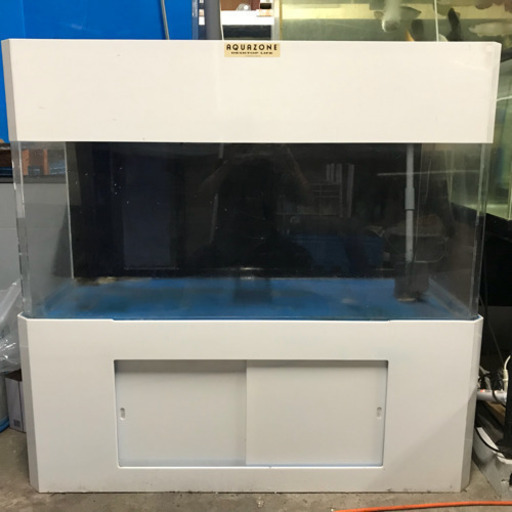 年内に引き取って頂ける方お願いします❗️水槽まだ有ります❗️アクリル水槽