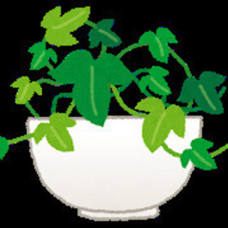 ＜急募＞お庭の植栽、草刈り、手入れ、掃除など（シニアの方が活躍し...