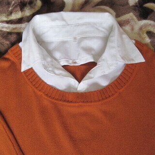 美品　きれいな御色　★　Ｍ．deux　レディース　ニット　サイズM　★の画像