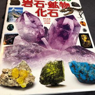 小学館の図鑑NEO 岩石・鉱石・化石