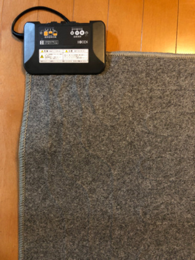 【引取先確定済】ホットカーペット