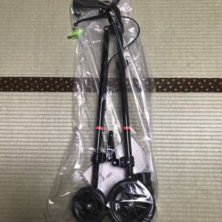 ハンドレールステッキ