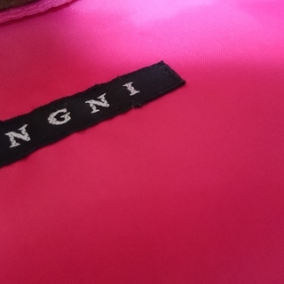 【お譲りします】ダウンジャケット【INGNI】の画像