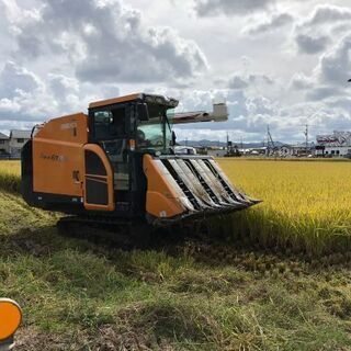 新米 30kg コシヒカリ 令和5年 30キロ