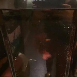 1人暮らし用 冷蔵庫 黒の画像