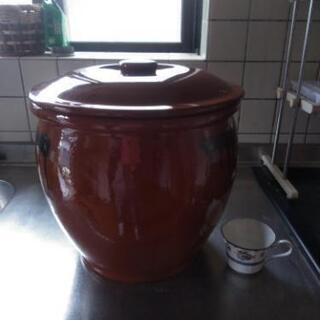 新品　かめ
