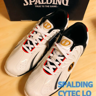 SPALDING CYTECLO (スポルディング サイテックロー)