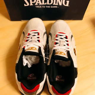 SPALDING CYTECLO (スポルディング サイテックロー)の画像