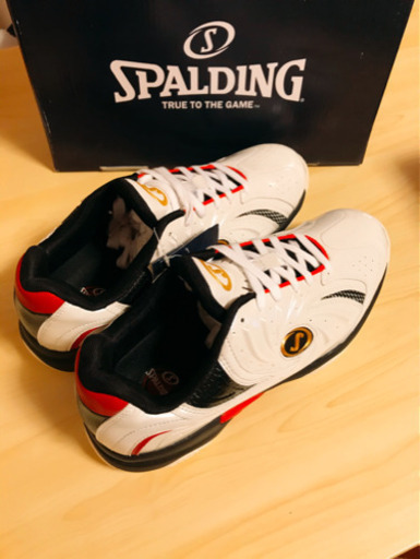 SPALDING CYTECLO (スポルディング サイテックロー)