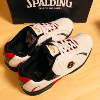 SPALDING CYTECLO (スポルディング サイテックロー)の画像