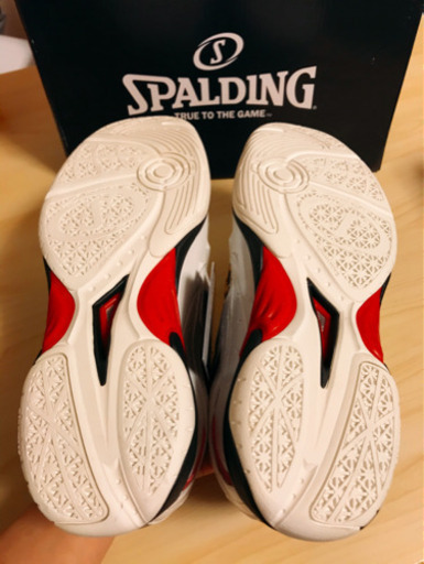 SPALDING CYTECLO (スポルディング サイテックロー)