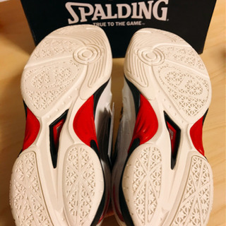 SPALDING CYTECLO (スポルディング サイテックロー)の画像
