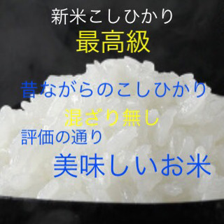 令和2年　新米東温米こしひかり30㎏ 玄米　渡部ファーム