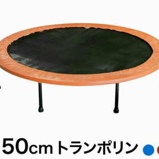 トランポリン　junkの画像
