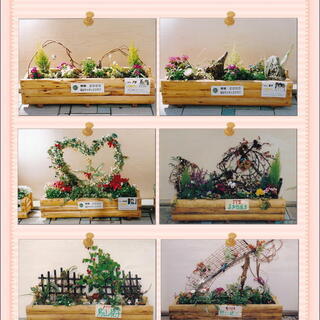 コスモスまつり　フリーマーケット＆ガーデニングコンテスト作品つくり　募集！！ - フリーマーケット